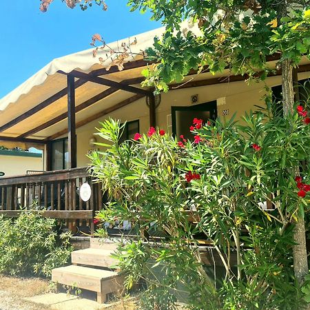 Comfortabele Familie Chalets Met Veranda Incl Airco Dichtbij Zee! Viareggio Exterior photo